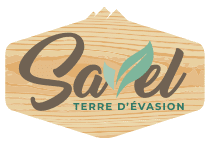 logo footer